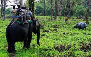 Dooars Adventure Tour Packages | call 9899567825 Avail 50% Off